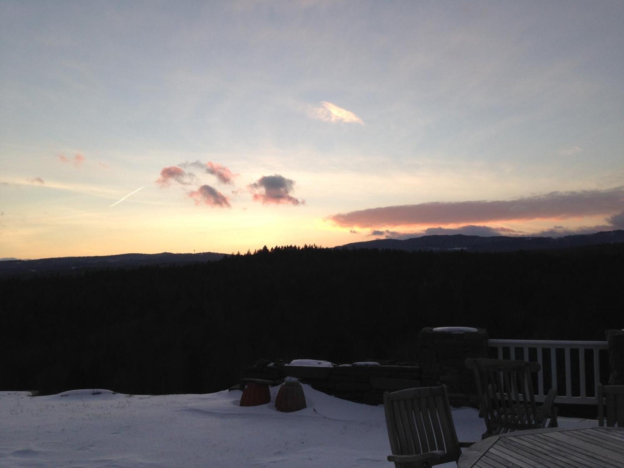 Adams Hill House Retreat - Artist-Architect'S Estate, Newfane Vermont Exteriör bild