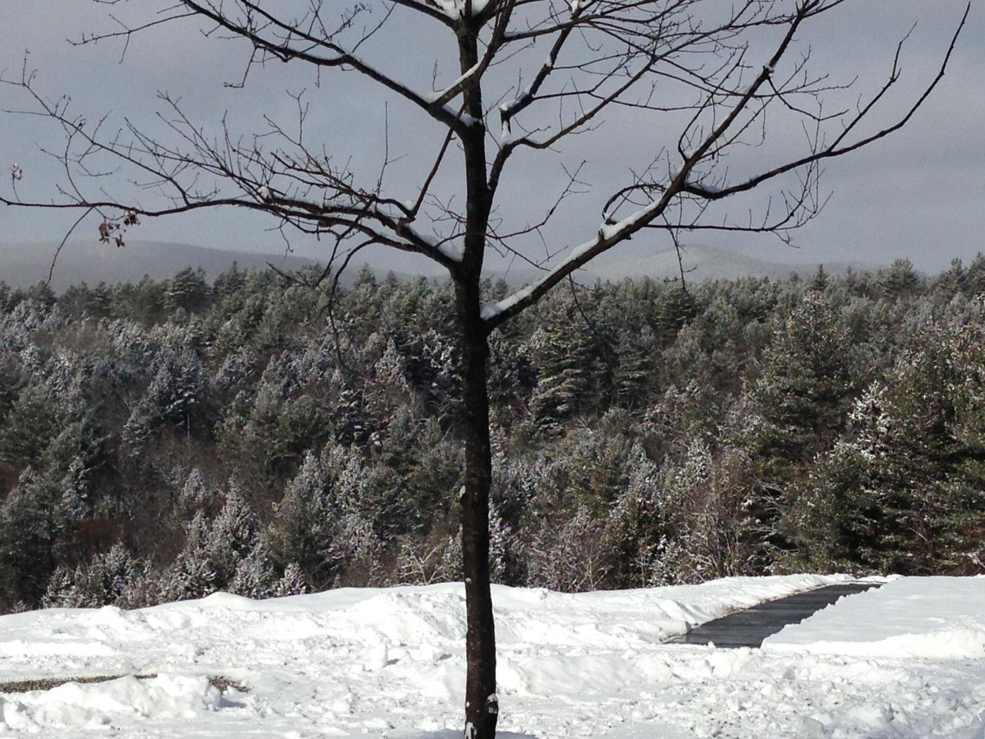 Adams Hill House Retreat - Artist-Architect'S Estate, Newfane Vermont Exteriör bild