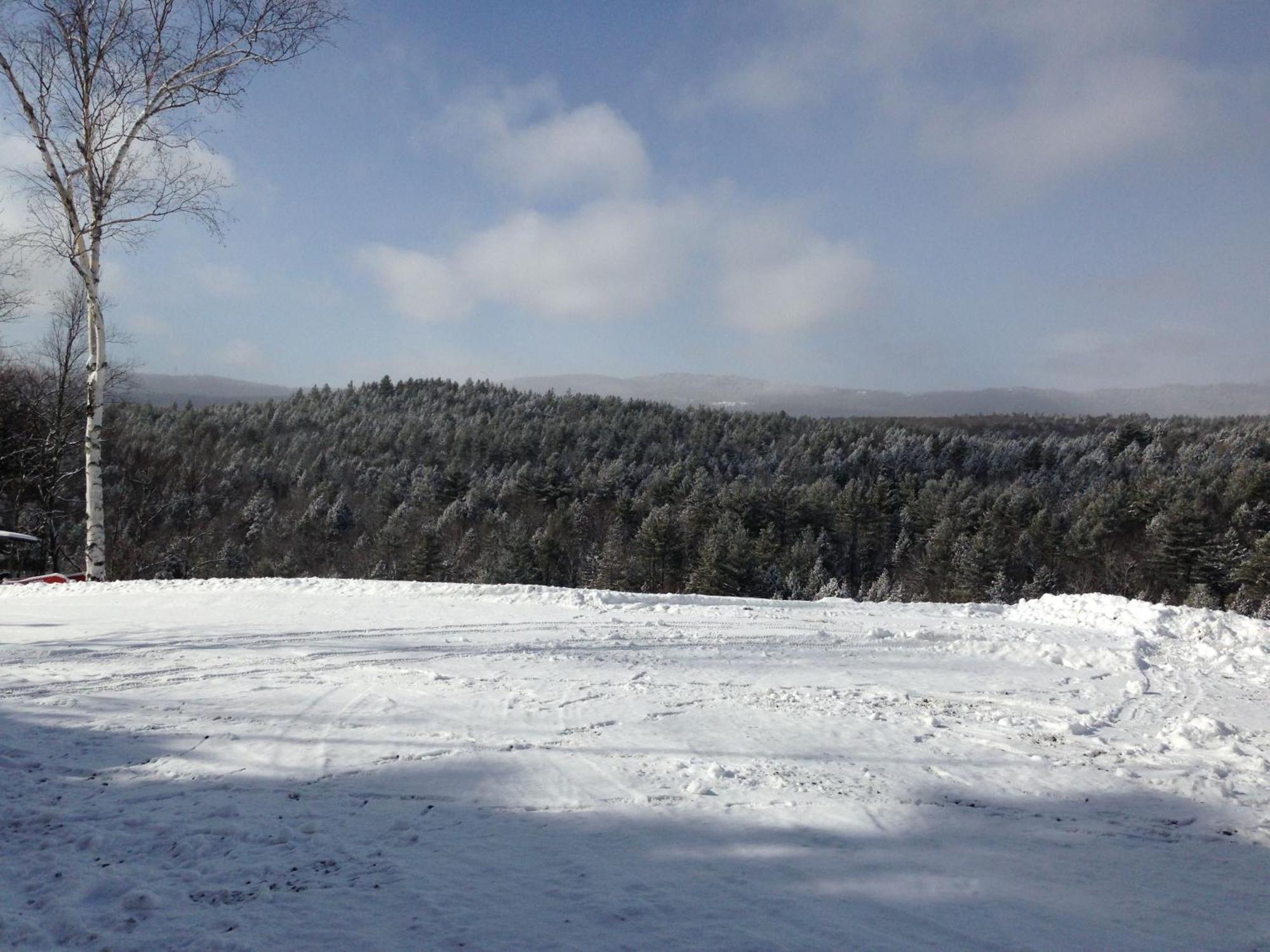 Adams Hill House Retreat - Artist-Architect'S Estate, Newfane Vermont Exteriör bild
